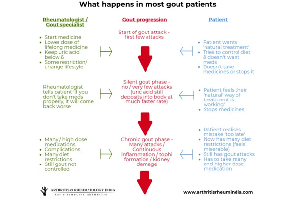 Managing Gout without many dietary restrictions – Is it possible ?